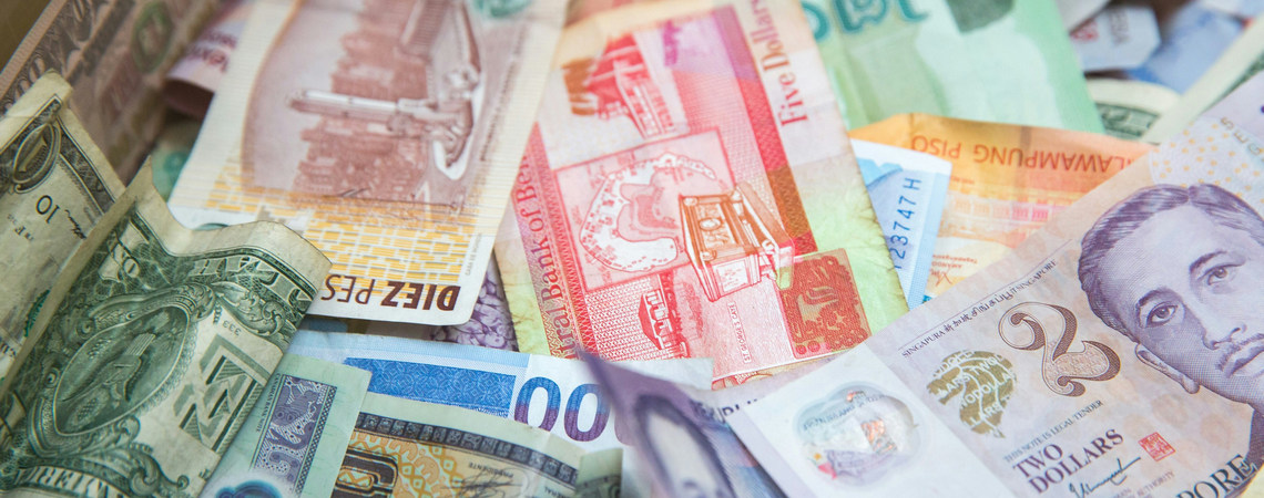 Giełda społecznościowa - grafika Trejdoo